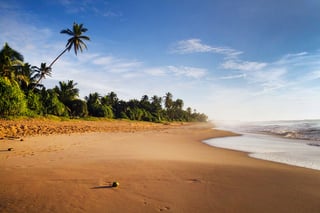 Calm Beach Landscape With Palm Trees