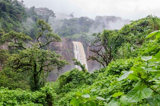 Cameroon rainforest waterfall in mist