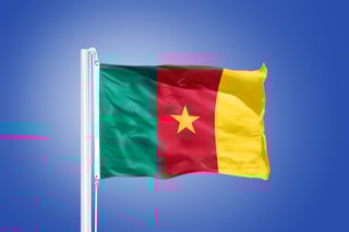 Flag of Cameroon waving in the wind