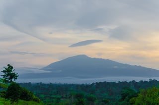Mount Cameroon