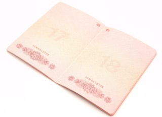 Open blank passport pages