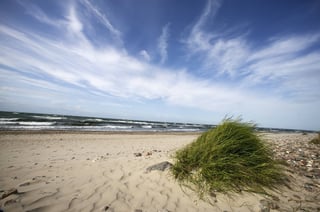 Sandy beach with waves in Cameroon