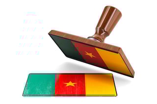 Top 12 Things Travelers Cant Bring Into Cameroon