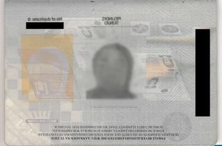 Valid Passport - Page 1