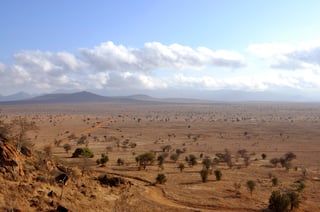 Wide View Of Dry African Savannah Landscape
