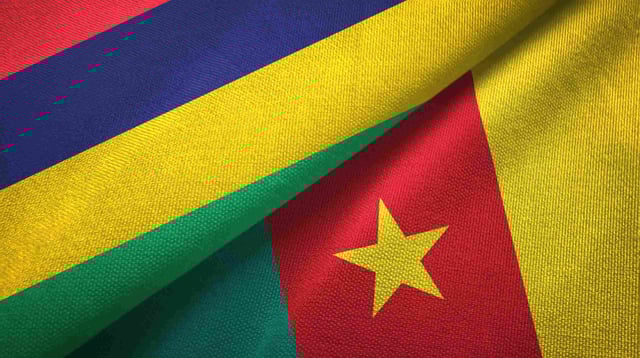 A Guide To Cameroon's E Visa For Mauritian Citizens