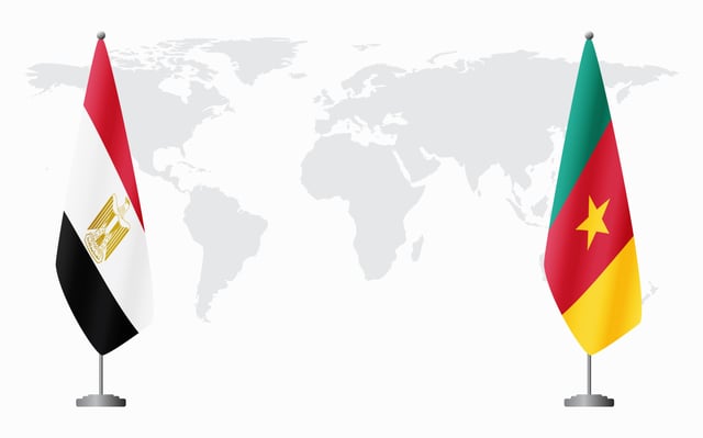 A Guide To Cameroons E Visa For Egyptian Citizens