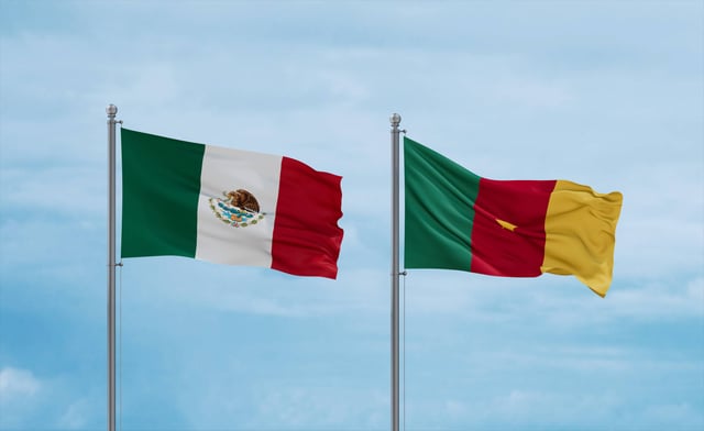 A Guide To The E Visa For Mexican Citizens