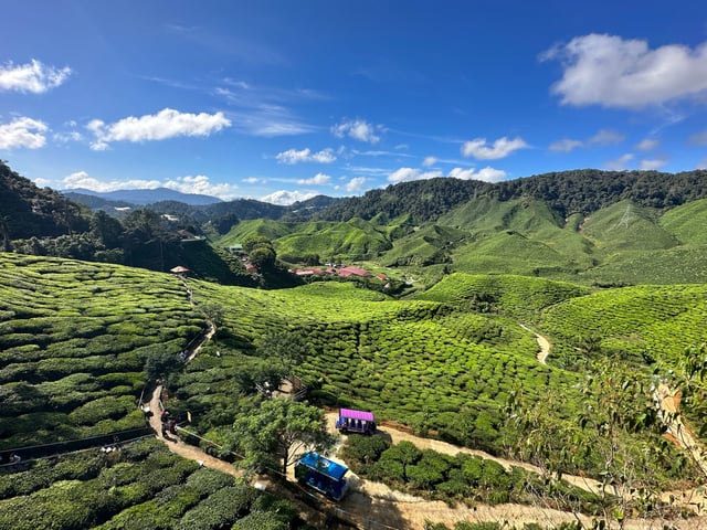 Arrival In Cameroon What To Expect