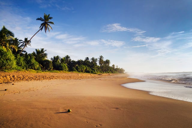 Calm Beach Landscape With Palm Trees