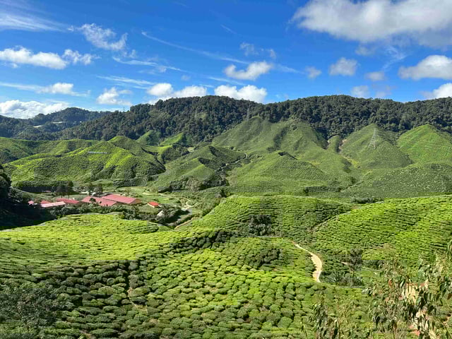 Cameroon countryside with green hills