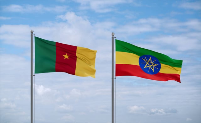 Cameroon E Visa Guide For Ethiopian Citizens