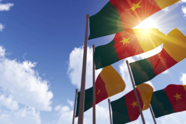 Cameroon flags waving in sunlight