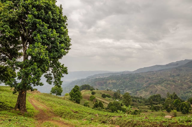 Cameroon Highland Footpath Under Cloudy Sky