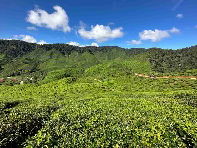 Cameroon Highland Valleys