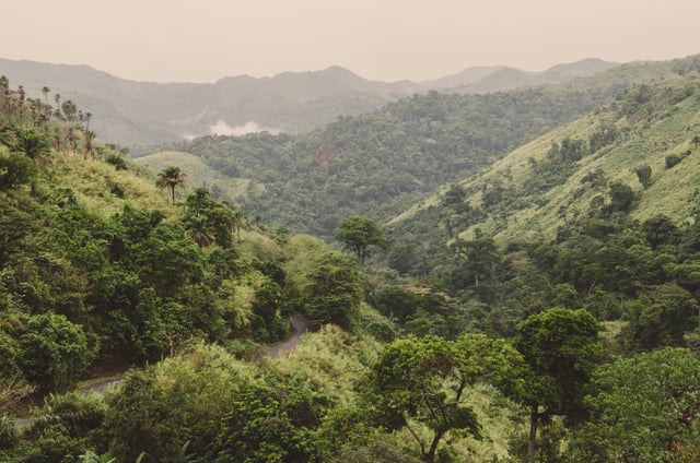 Cameroon Mountain Road Through Green Hills