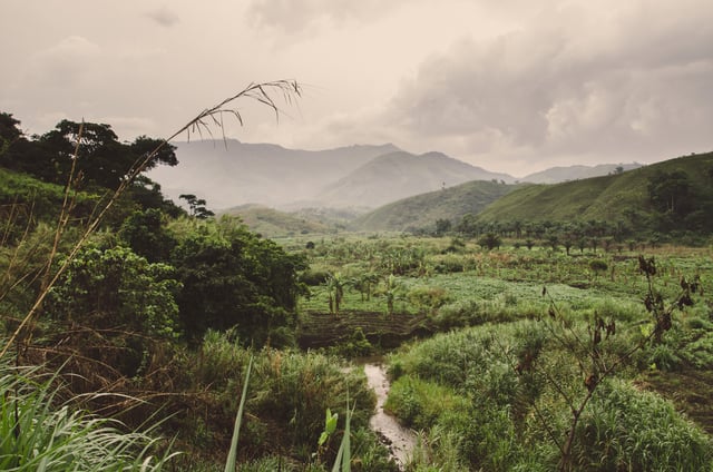 Tropical Hills And River In Cameroon