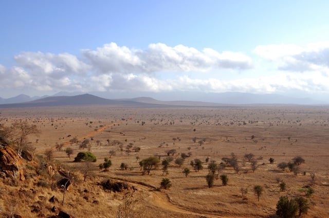 Wide View Of Dry African Savannah Landscape