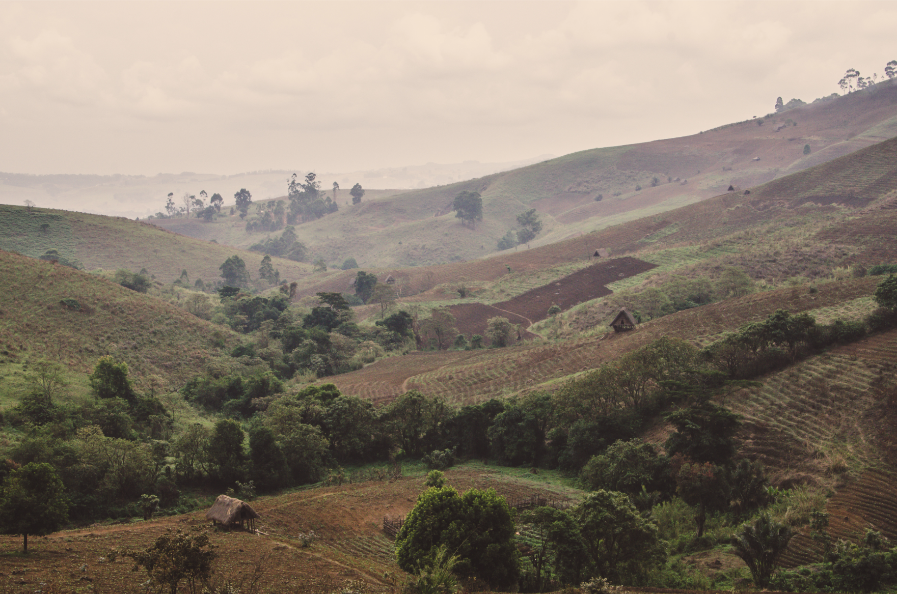 Bamenda Highlands: A Breath of Fresh Air