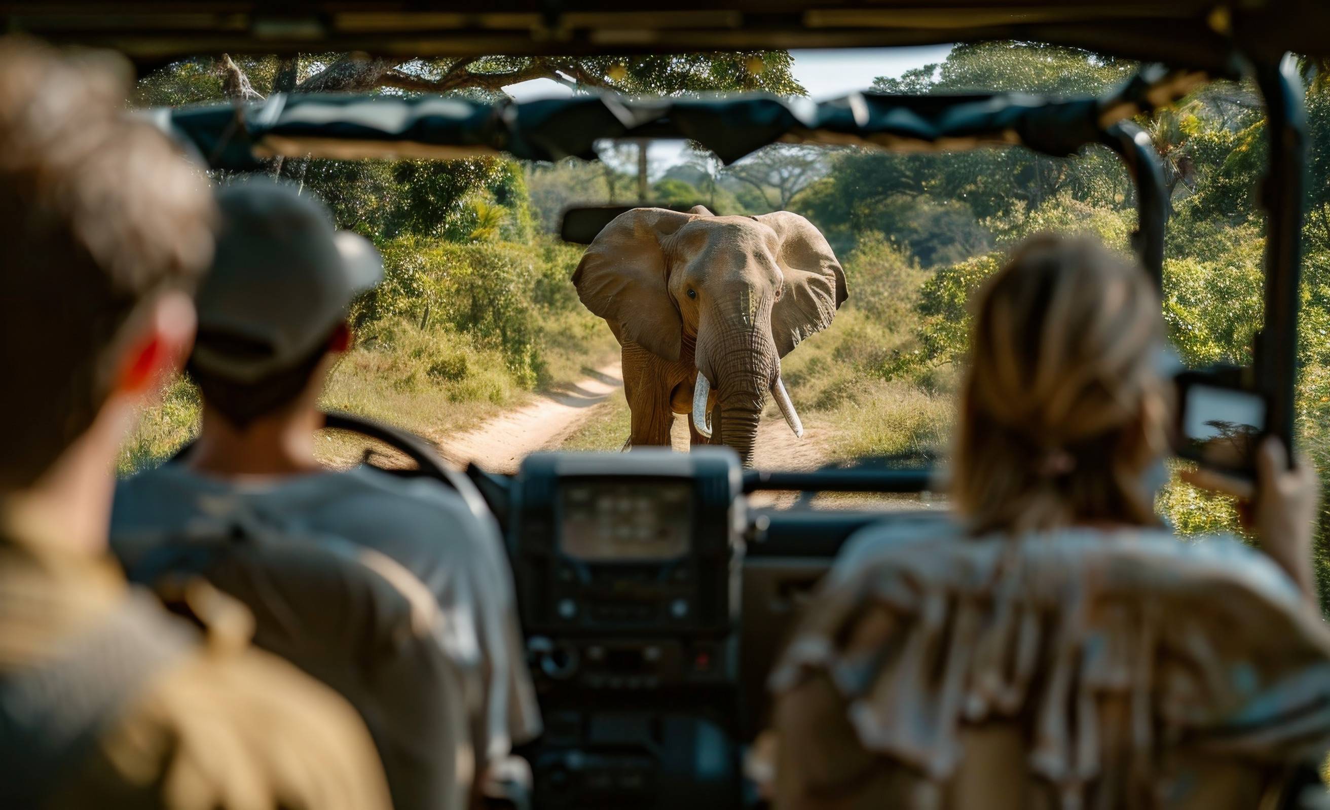 Cameroon Wildlife Safari Adventure