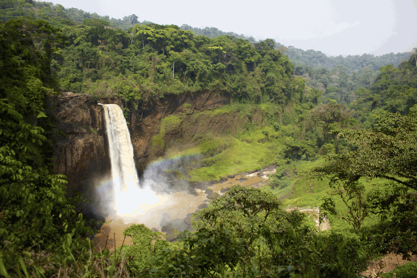 Campo Ma'an National Park