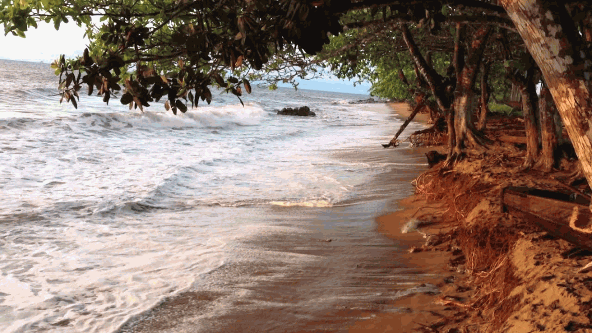 Beaches