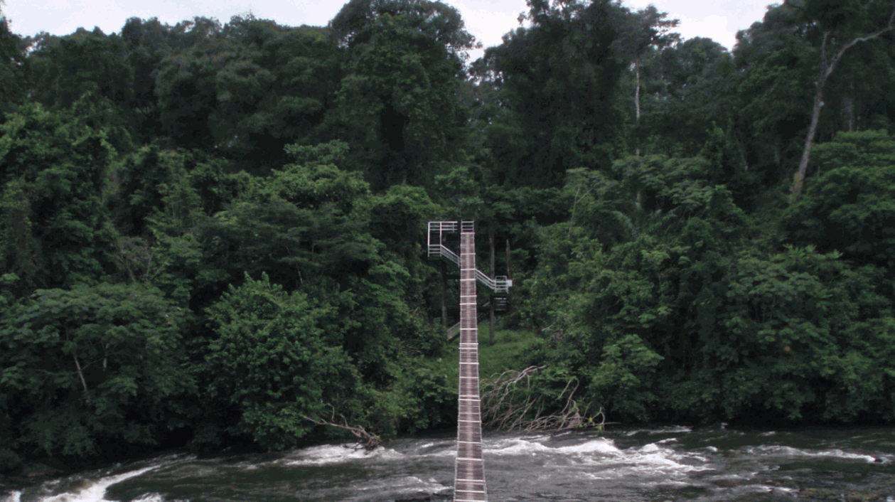 Korup National Park