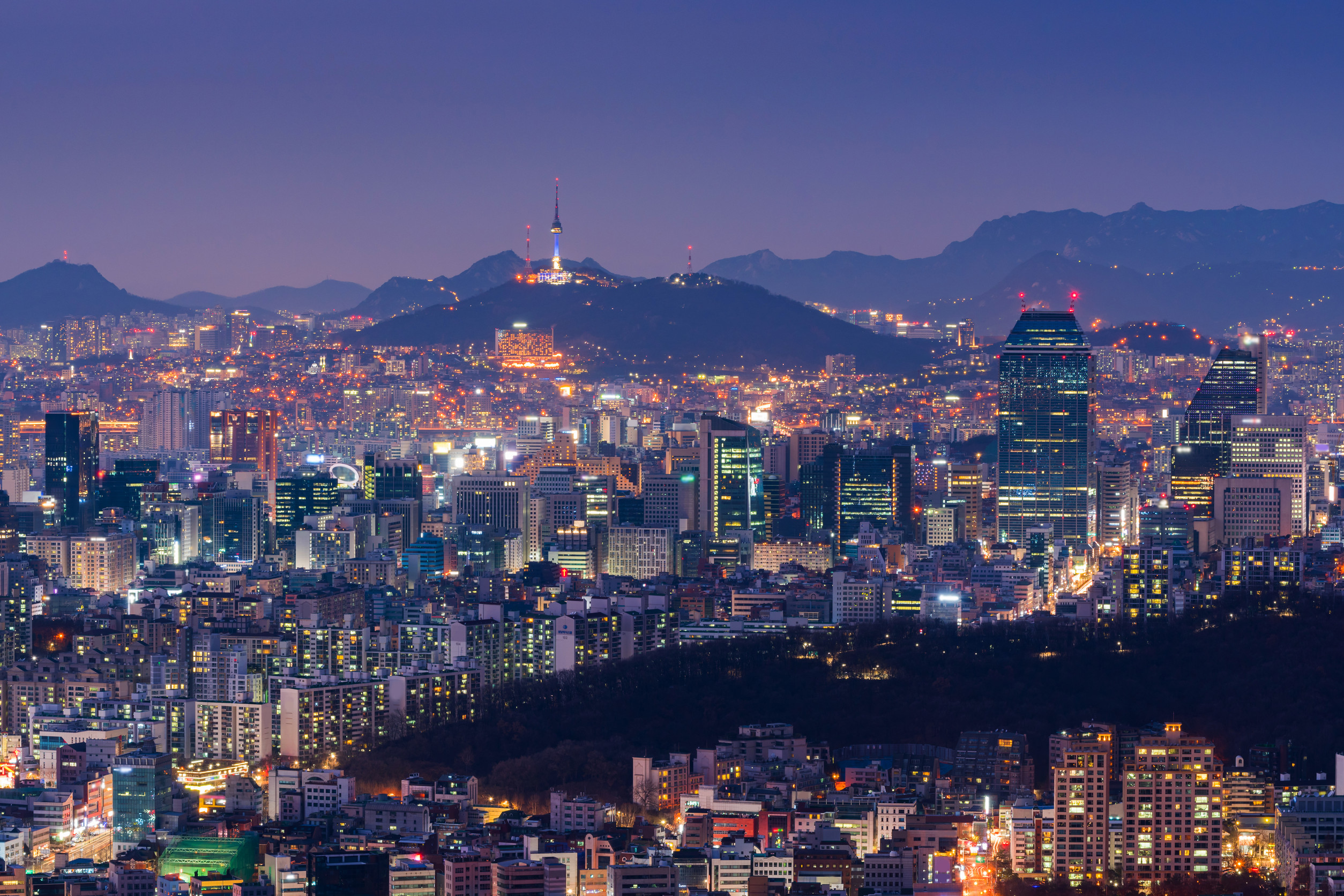 Seoul City Skyline