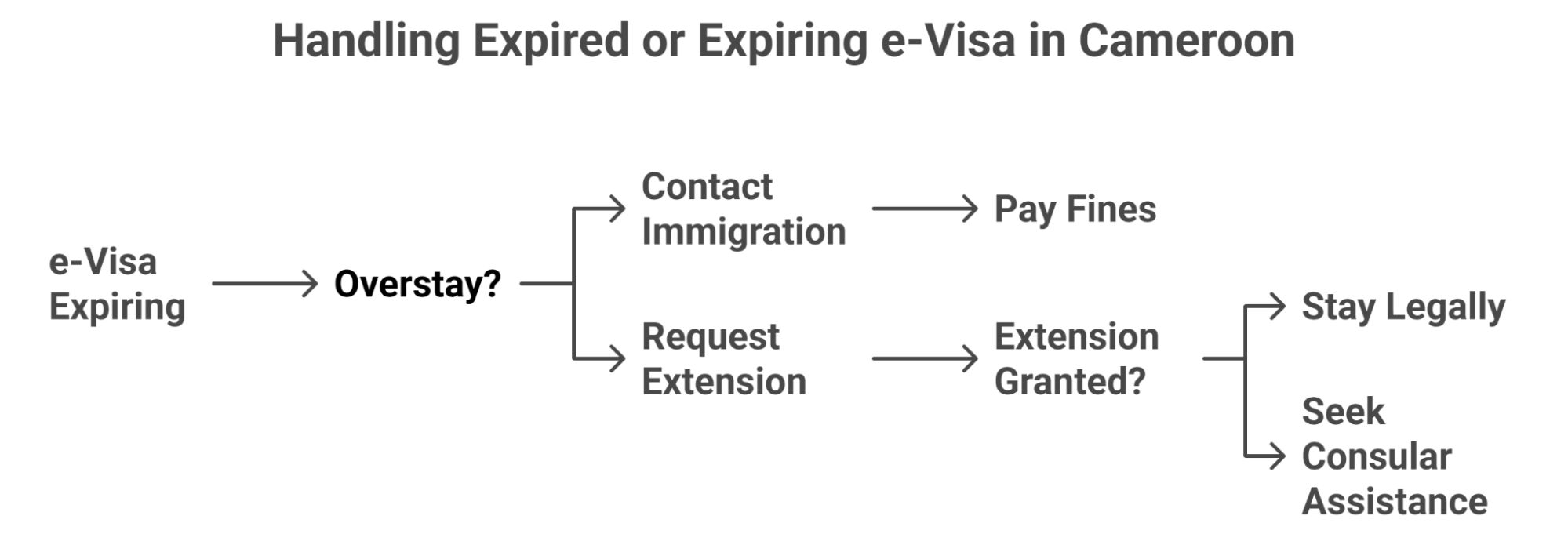 What To Do If Your E Visa Expires Before Leaving The Country